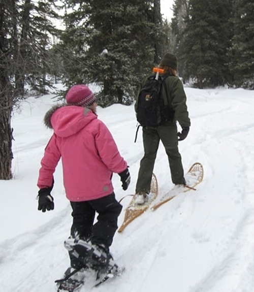 Snowshoeing Tours